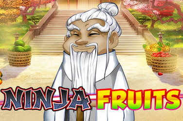 Ninja Fruits Slot Logo Playngo